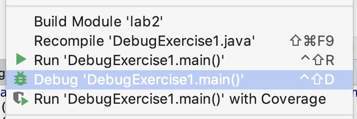 Debug 选项